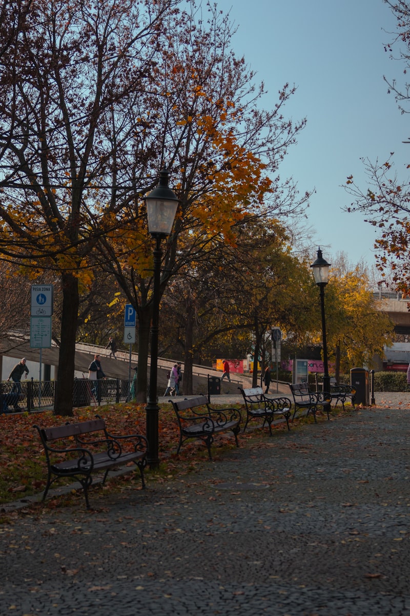 Benches under bare trees in Sad Janka Kráľa at the end of October, photographed by Oli.