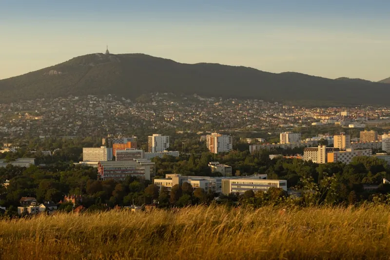 Zobor
