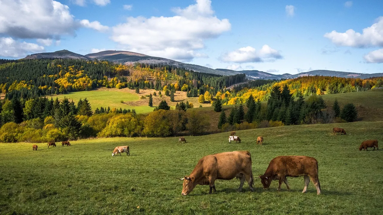 Veľká Fatra
